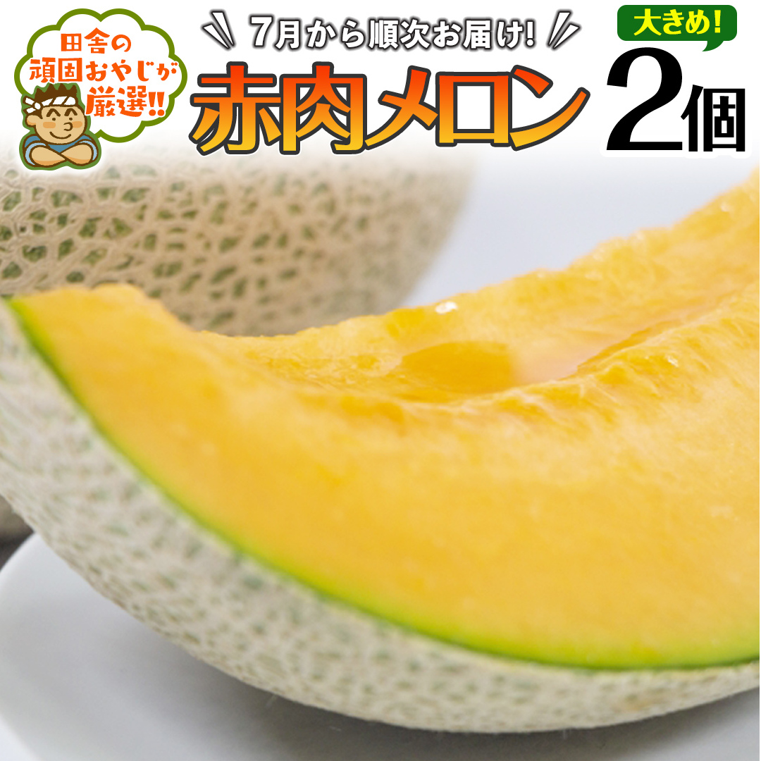 傫 ԓ  2y2025N7Jnzcɂ̊ł₶II [BI113-NT]錧΂݂炢s25000ʕEt[cEXCJ