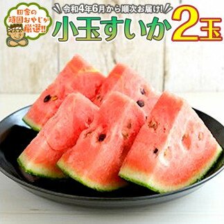 ʂ2ʁyߘa4N6珇͂zcɂ̊ł₶II [BI102-NT]錧΂݂炢s10000ʕEt[cEXCJ