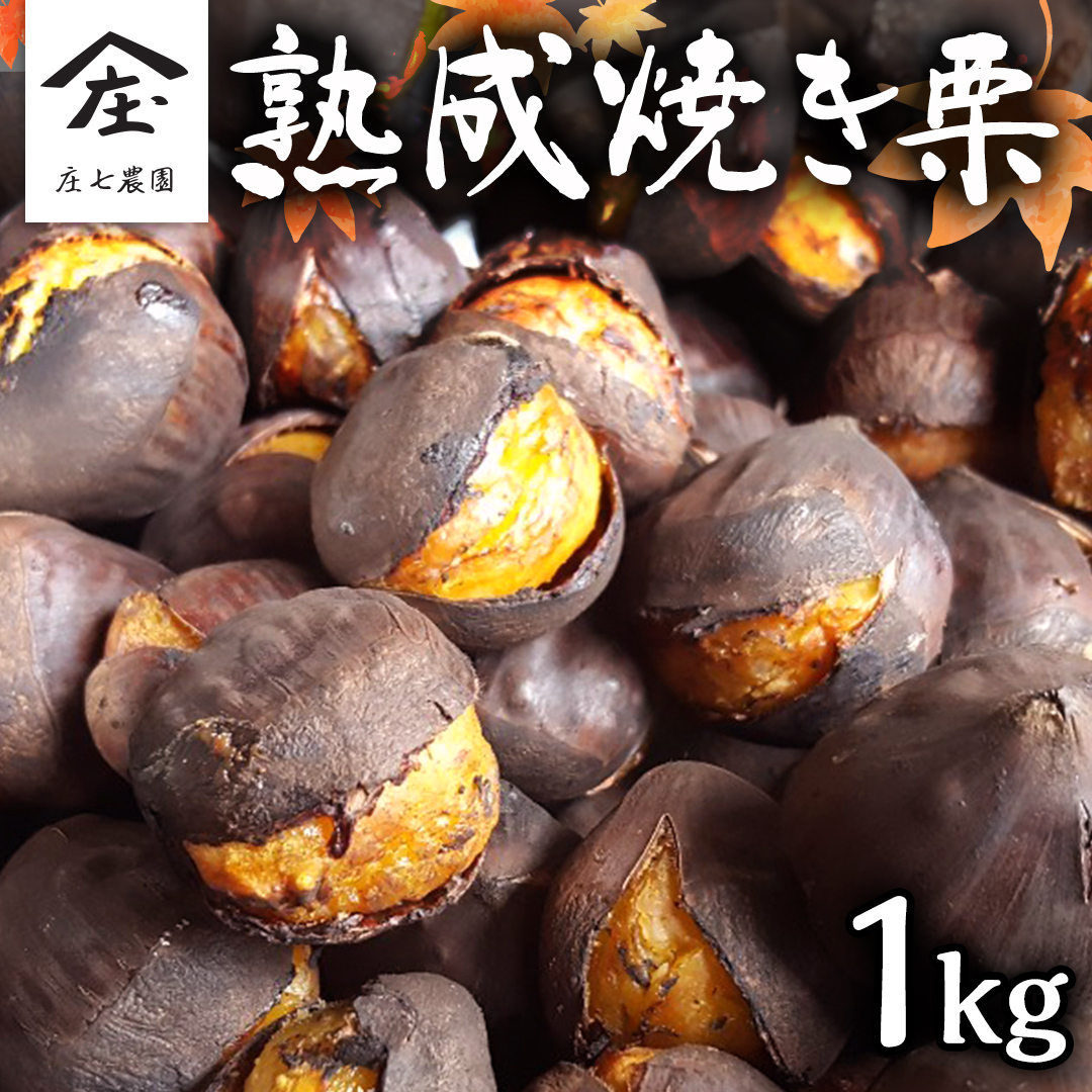 _  n ĂI 1kg y 10珇͂ z I  ČI  XC[c  aI  ʕ t[c [BK04-NT]錧΂݂炢s15000ʕEt[c̑ ʕEt