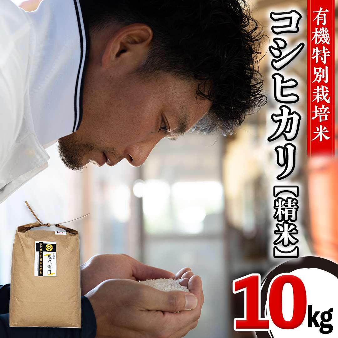 【 先行予約 】< 令和6年産 > 三百年 続く 農家 の 有機特別栽培米 コシヒカリ(精米10kg) 有機栽培 農創 米 こめ コメ ごはん ご飯 精米 白米 国産 茨城県産 おいしい 新生活 プレゼント 新生