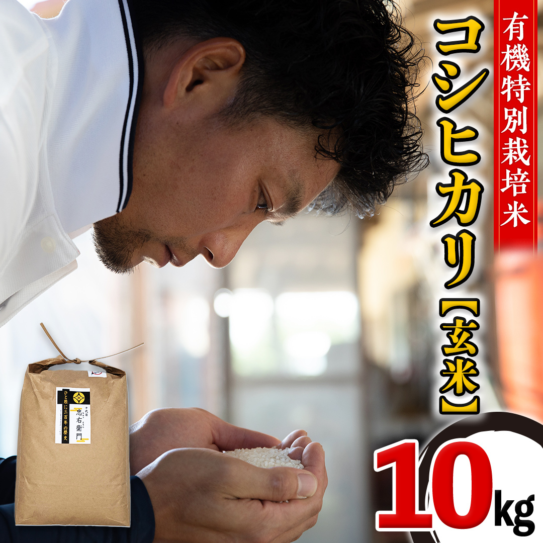 【 先行予約 】< 令和6年産 > 三百年続く農家の有機特別栽培 コシヒカリ ( 玄米 10kg) 有機栽培 農創 米 こめ コメ ごはん ご飯 玄米 国産 茨城県産 おいしい 新生活 プレゼント 新生活応援