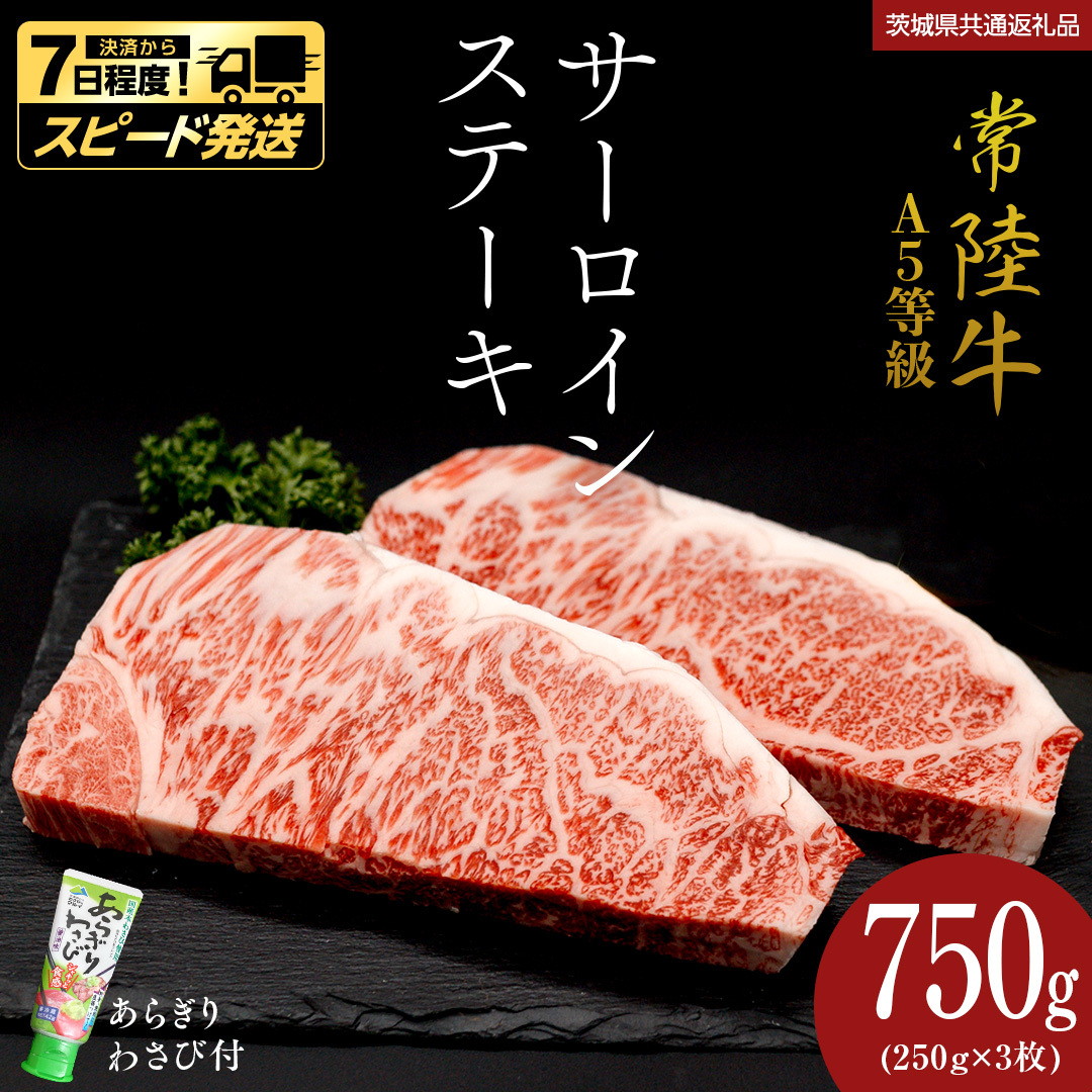 _ Xs[h^y 헤 z A5  T[CXe[L 750g (250g×3) 炬 킳 t i錧 ʕԗiFJsj Ђイ uh Xe[L T[C Y јa
