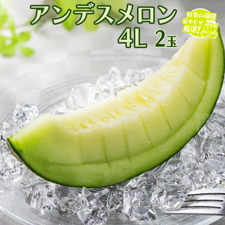 AfX 4L 2 y8Jnz cɂ̊ł₶II    Mtg x  Â  t[c [BI253-NT]錧΂݂炢s25000ʕEt[cEXCJ