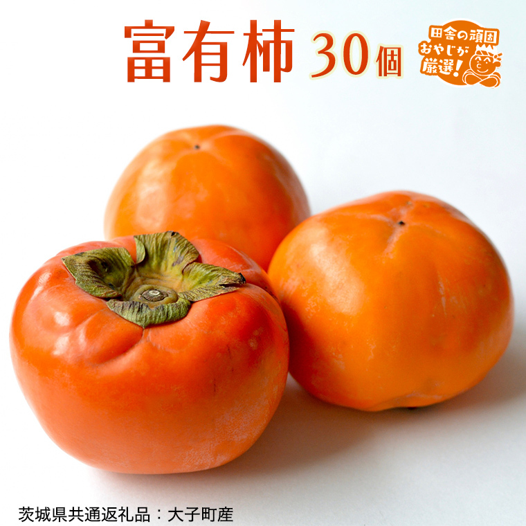 xL` 30yߘa7N11蔭Jnzi錧ʕԗiFqYjcɂ̊ł₶II ` xL` x Â XC[c  t[c [BI309-NT]錧΂݂炢s30000