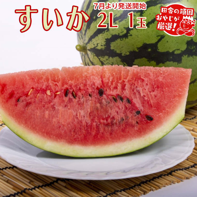  2L×1y2025N7蔭Jnzcɂ̊ł₶II  XCJ Mtg  Â t[c  [BI295-NT]錧΂݂炢s16000ʕEt[cEXCJ