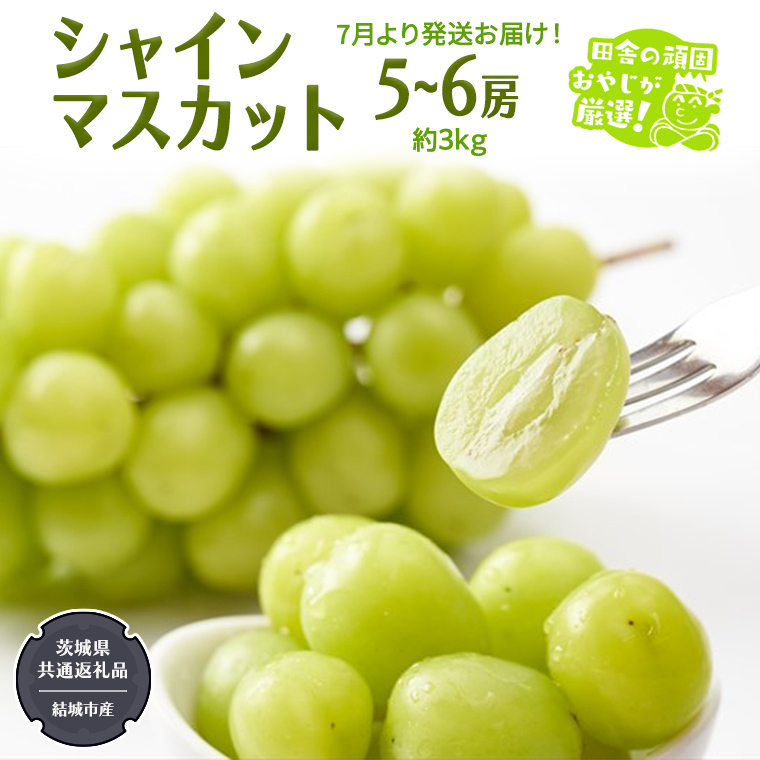 VC}XJbg3kg 5`6[ y2025N7蔭Jnzi錧ʕԗi [Ԃǂ]FsYj }XJbg Ȃ x Mtg Â  t[c [BI263-NT]錧΂݂炢s