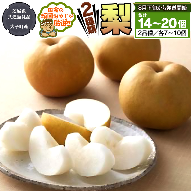  2 Zbg y2025N8{蔭Jnz i錧ʕԗi []FqYj cɂ̊ł₶II錧΂݂炢s25000ʕEt[c񂲁E