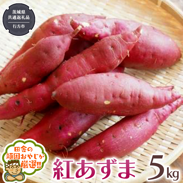 g 5kg y2025N10甭Jnzi錧ʕԗi [܂]FssYj ܂ g    [BI412-NT]錧΂݂炢s16000؁ÊႪEC