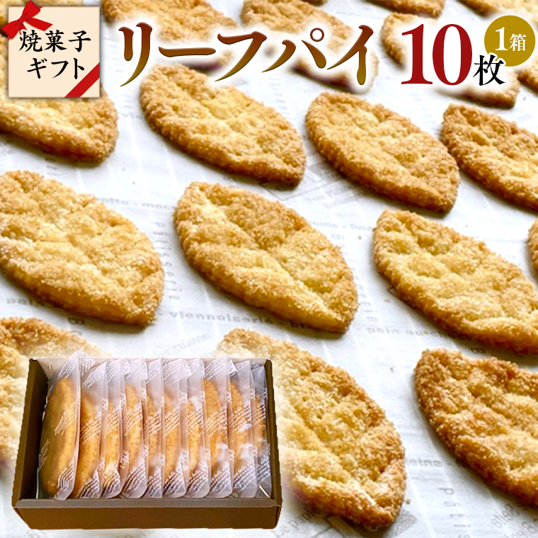 [tpC Mtg{bNX 10  pC ĉَq XC[c fU[g  Mtg 蕨  v[g yY َq [DJ43-NT]錧΂݂炢s7000َqEXC[c̑ mَq