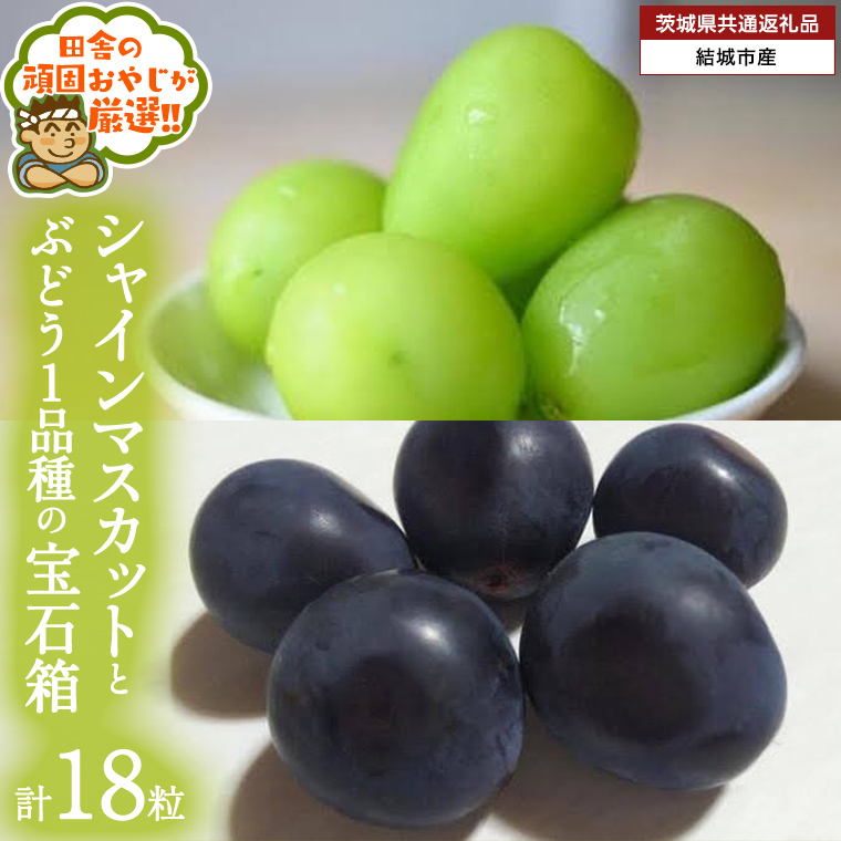 uXԂǂ18v VC}XJbg  Ԃǂ 1i̕Δy2025N8蔭Jnzi錧ʕԗi [Ԃǂ]FsYj Ԃǂ uhE  ʕ t[c 錧Y [BI446-NT]