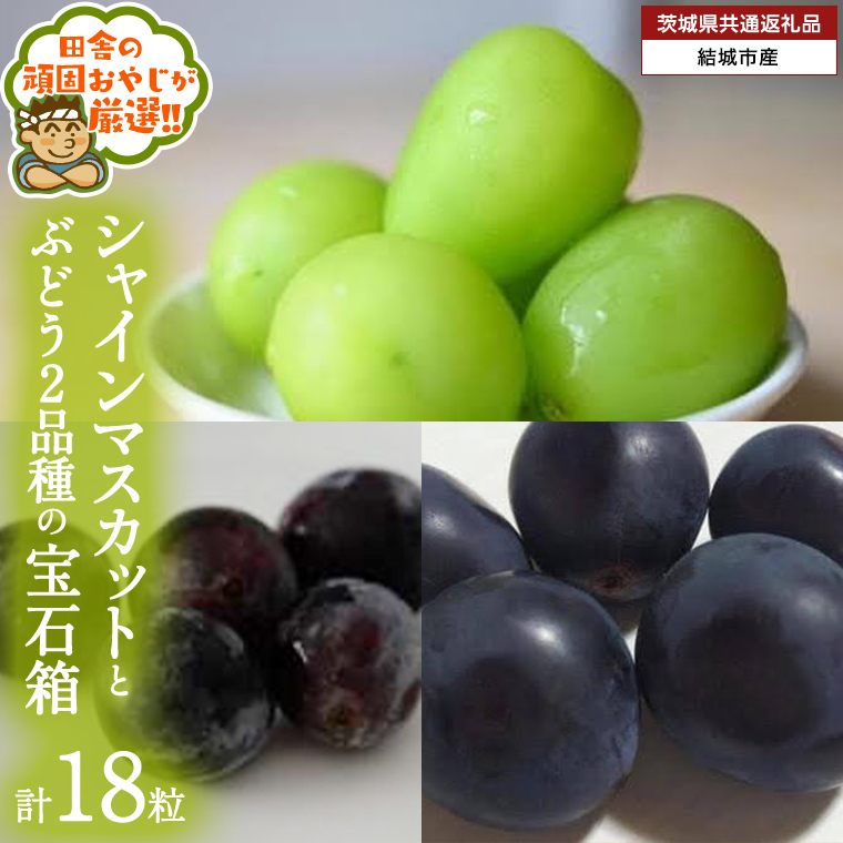 uXԂǂ18v VC}XJbg  Ԃǂ 2i̕Δy2025N8蔭Jnzi錧ʕԗi [Ԃǂ]FsYj Ԃǂ uhE  ʕ t[c 錧Y [BI447-NT]