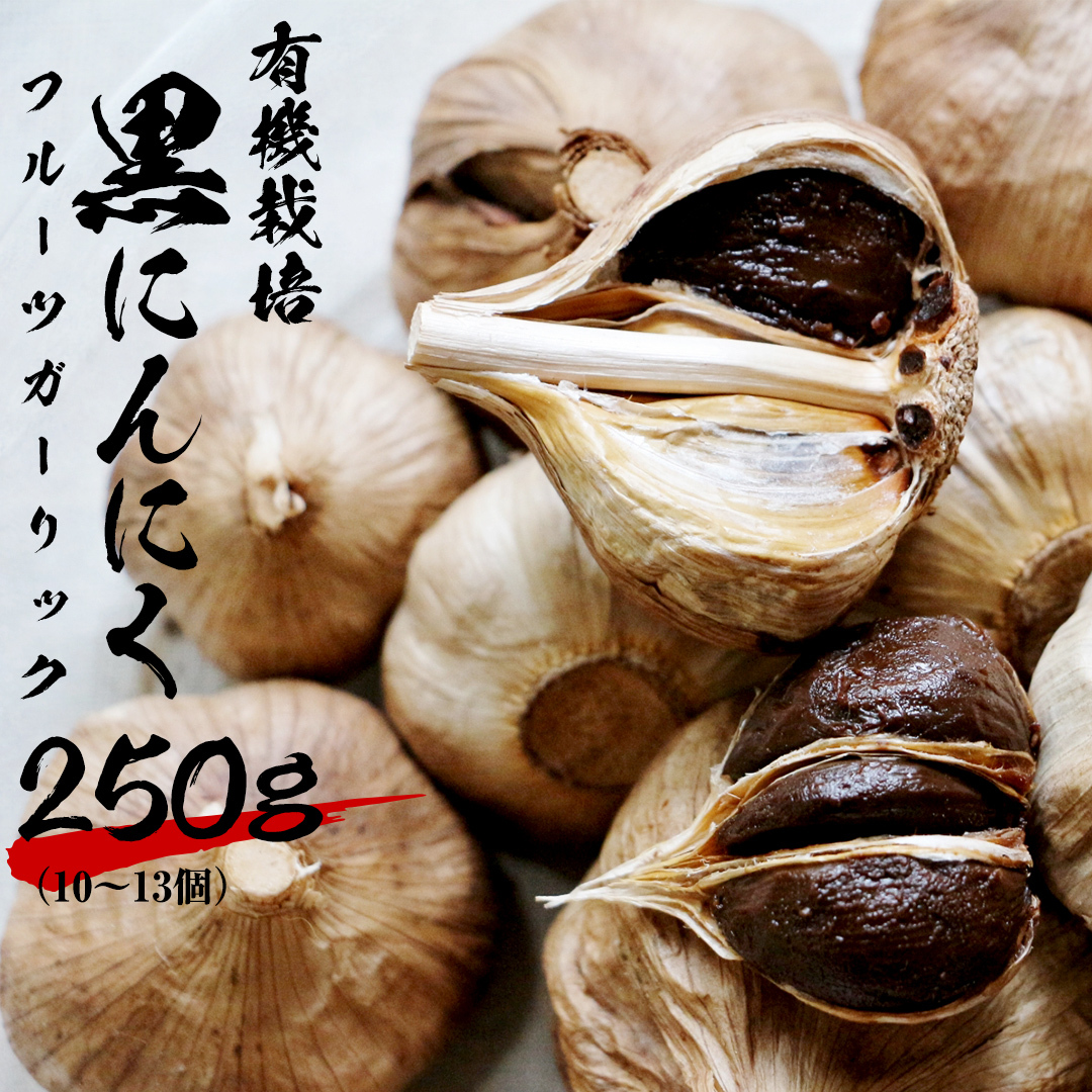 ɂɂ ( t[cK[bN j lߍ킹 250g i10`13j ɂɂ jjN K[bN L@͔| I[KjbN [CW10-NT]錧΂݂炢s11000؁Ê̑ 