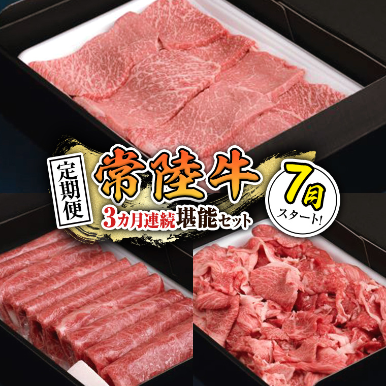 y  zy ߘa7N7X^[g zy S3 zw 헤 xlC3\Zbgi 3Ał͂ j    Ԑg ؂藎Ƃ јa a Yјa Y [BX18-NT]錧