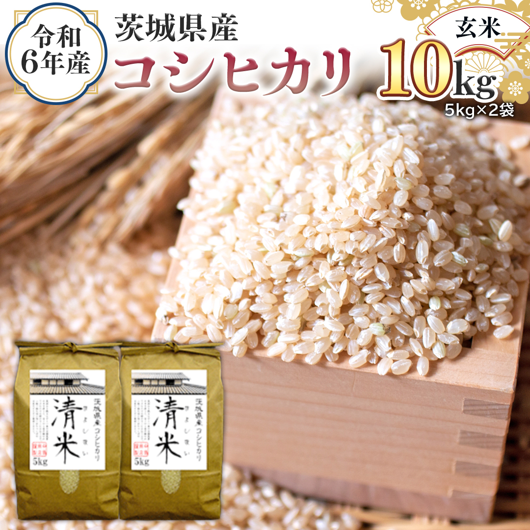 ߘa6NY 錧Y  RVqJ 10kg i5kg×2܁j  LV}C Ђ  R  P  錧Y Y    R [EH05-NT]錧΂݂炢s23500āE