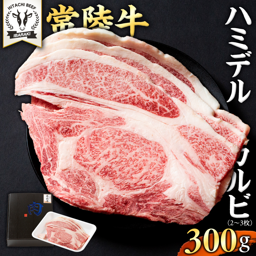 y 헤 zA5  n~fJr 300g (2`3) Ђイ uh Jr Y јa a Yјa  A5N  BBQ p[eB [BX126-NT]錧΂݂炢s12000