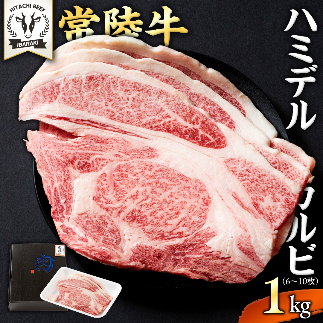 y 헤 zA5  n~fJr 1kg (6`10) Ђイ uh Jr Y јa a Yјa  A5N  BBQ p[eB [BX128-NT]錧΂݂炢s40000