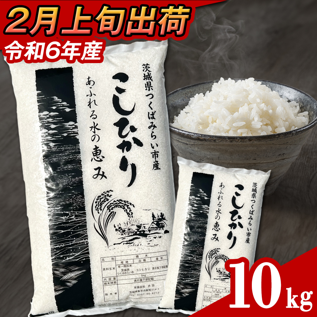 y 2{ / ʌ z錧Y RVqJ  10kg (5kg×2܁j ߘa6NY Ђ  R  P  錧Y Y    R [CL33-NT]錧΂݂炢