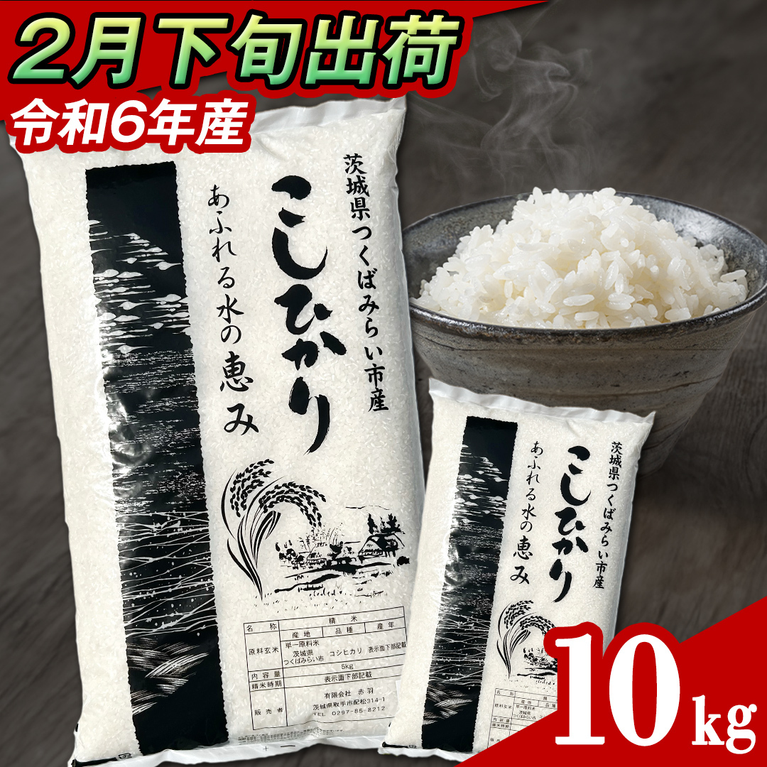 y 2{ / ʌ z錧Y RVqJ  10kg (5kg×2܁j ߘa6NY Ђ  R  P  錧Y Y    R [CL34-NT]錧΂݂炢