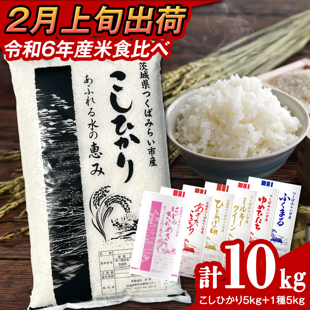 y 2{ / ʌ z錧Y 2 Hה  10kg (5kg×2܁j ߘa6NY Ђ  R  P  錧Y Y    R [CL59-NT]錧΂݂