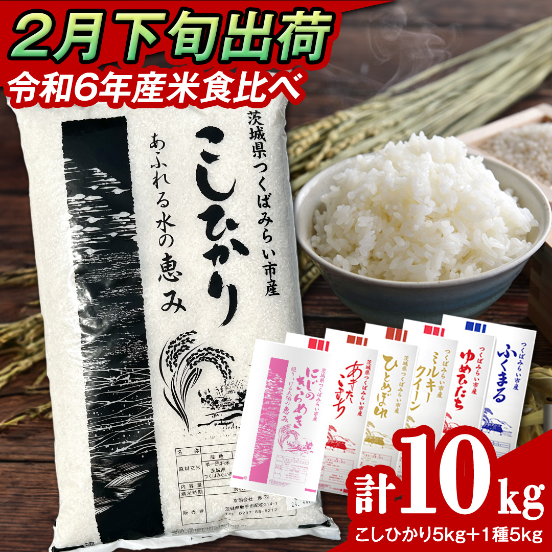 y 2{ / ʌ z錧Y 2 Hה  10kg (5kg×2܁j ߘa6NY Ђ  R  P  錧Y Y    R [CL60-NT]錧΂݂