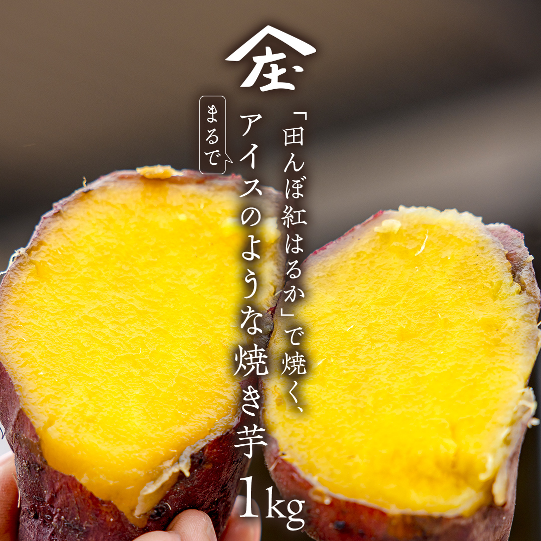 uc g͂邩vŏĂA܂ŃACX̂悤ȏĂ 1kg() Ⓚ Ă  ܂  XC[c  _ [BK28-NT]錧΂݂炢s10000؁ÊႪE