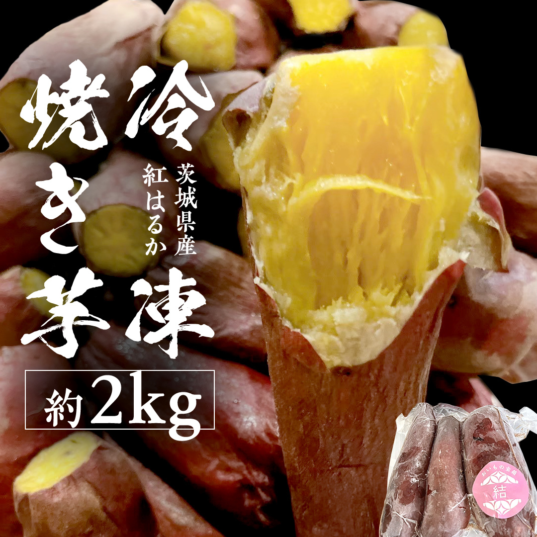ⓀĂ 2kg y 錧Y g͂邩 z Ⓚ Ă ܂ fU[g  XC[c [DL22-NT]錧΂݂炢s13000؁ÊႪEC