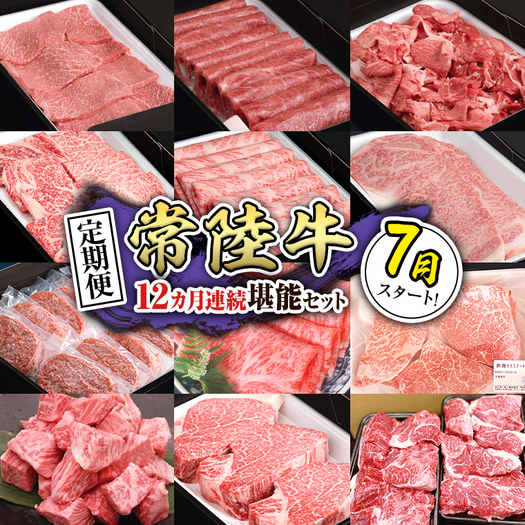 yցzyߘa7N7X^[gzyS12zw헤xlC12\Zbgi12Ał͂j   Xe[L no[O T[C Ԑg ؂藎Ƃ ~ Jr [BX20-NT]