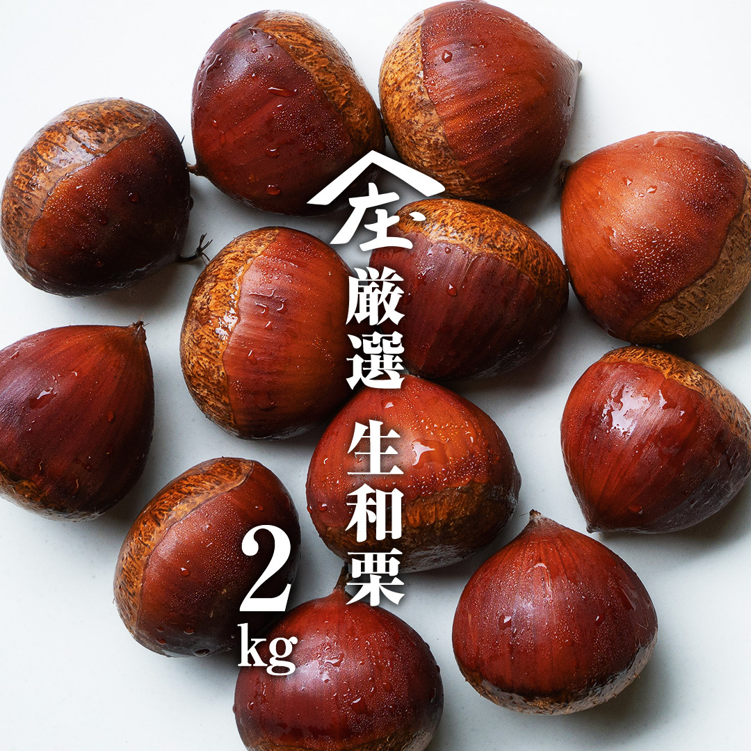 I aI 2kg y_z I ʎ I I a ØI }ObZ t[c 錧 aI  [BK41-NT]錧΂݂炢s17000ʕEt[c̑ ʕEt[c