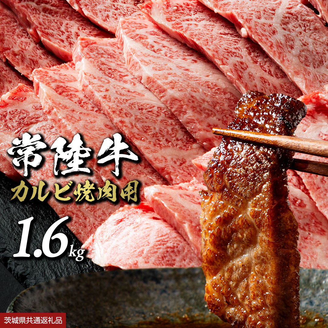 y 헤zēpJr 1.6kg (錧ʕԗi) Ђイ Jrē     Y uh a Jr Jr g Ⓚ ē BBQ AEghA Lv [BX148-NT]