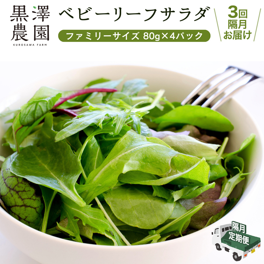 【 定期便 】全3回隔月でお届け! 黒澤農園 の ベビーリーフサラダ ( 80g × 4パック )ファミリーサイズ ベビーリーフ サラダ 生野菜 食べやすい 若葉 ファミリー 旬 新鮮 国産 彩り 頒布会