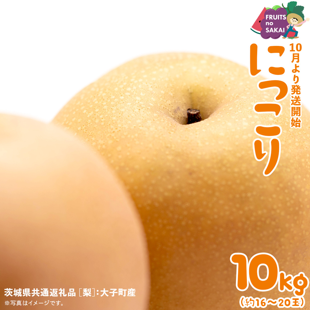ɂ  10kg i16`20ʁjy2025N10蔭Jnzi錧ʕԗi []FqYj Ȃ {  t[c Â W[V[ a  [FC10-NT]錧΂݂炢s27000ʕ