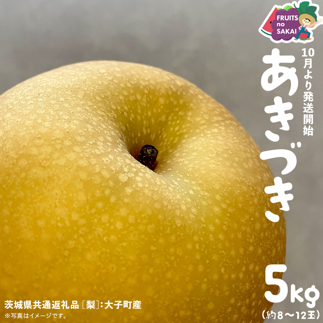 Â  5kg i8`12ʁjy2025N10蔭Jnzi錧ʕԗi []FqYj Ȃ {  t[c Â W[V[ a  H [FC07-NT] 錧΂݂炢s21000