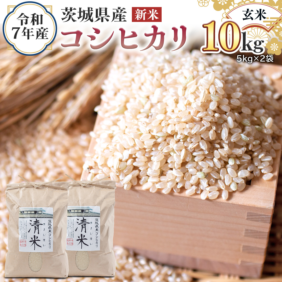  V  ߘa7NY 錧Y  RVqJ 10kg i5kg×2܁j  LV}C Ђ  R  P  錧Y Y    R[EH30-NT]錧΂݂炢