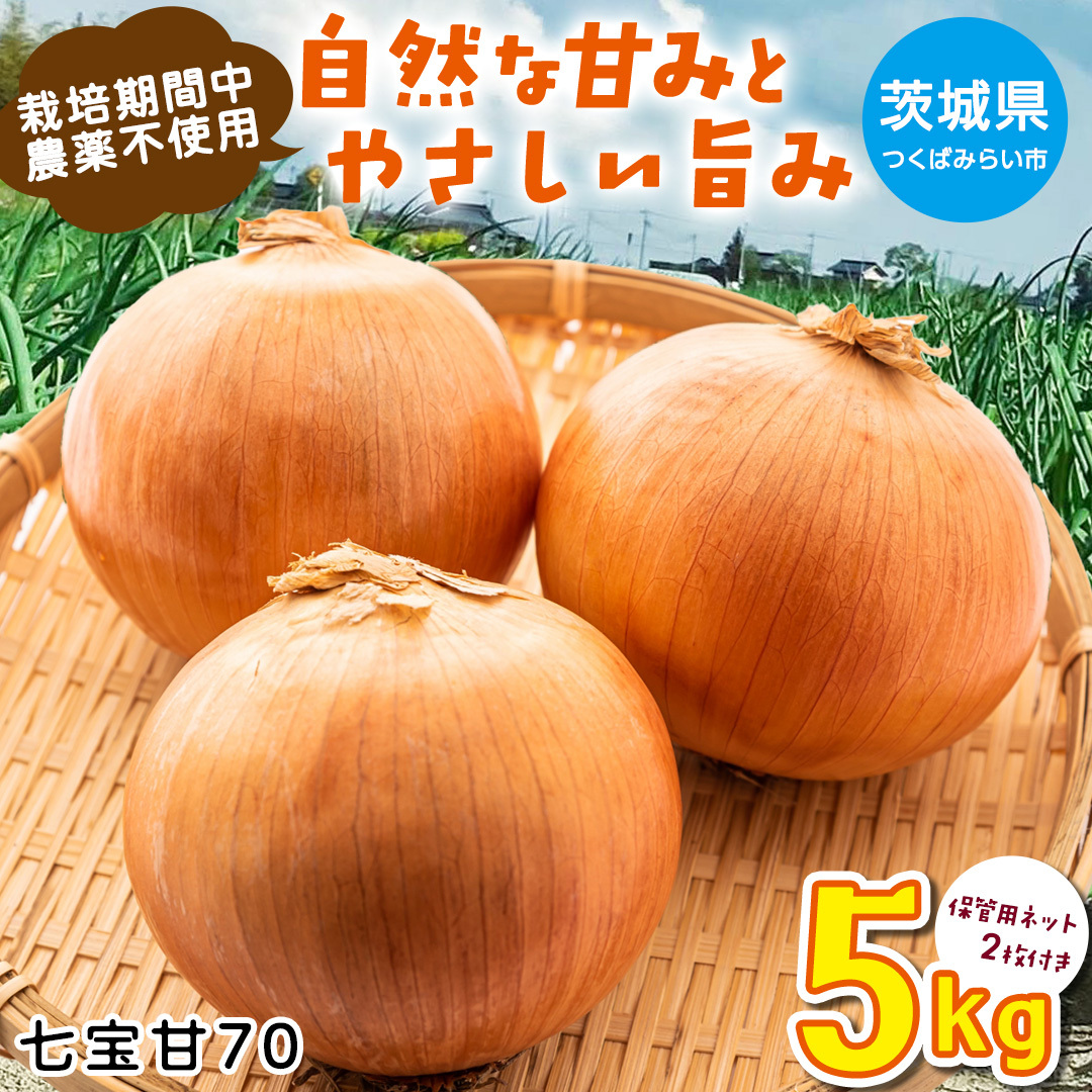 【先行予約】つくばみらい市産たまねぎ 5kg (七宝甘70)保管に便利な 貯蔵 ネット付【2026年5月より発送開始】 タマネギ 国産 茨城県産 甘い 辛くない 旨味 栽培期間中農薬不使用大玉 サラ