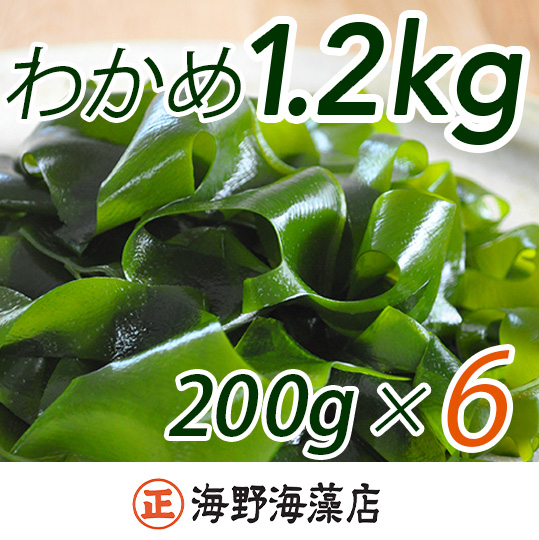 しゃきしゃき 湯通し塩蔵わかめ 1.2kg (200g×6パック) 国産 三陸産 海野海藻店 わかめ 塩蔵わかめ 湯通し不要茨城県大洗町14000魚介・海産物のり・海藻