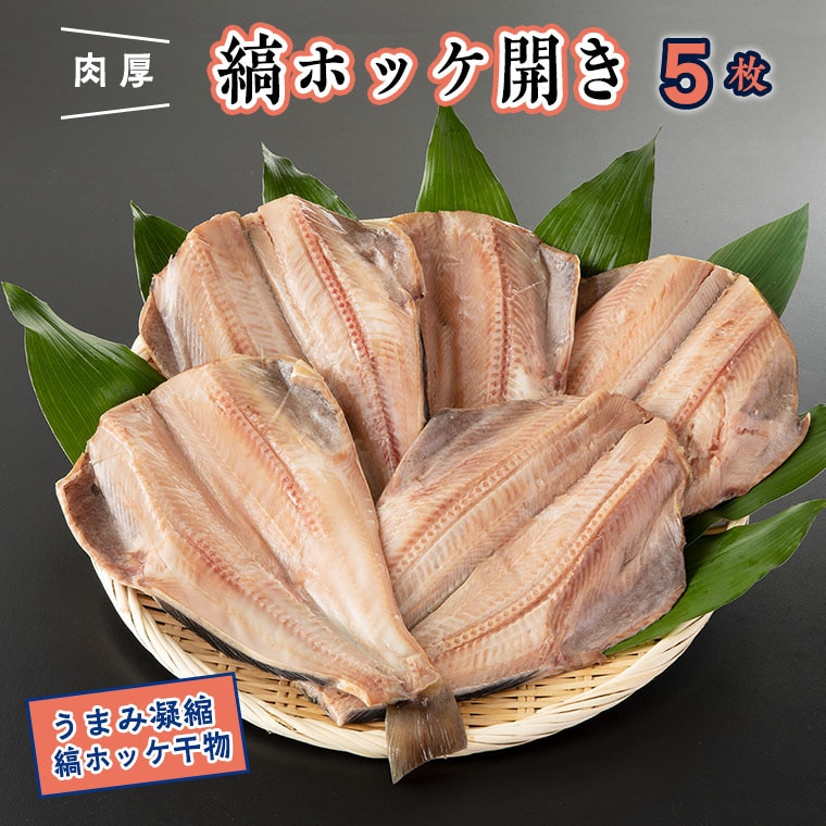 干物 縞ホッケ開き 5枚 特大 肉厚 カジマ ほっけ 縞ほっけ ホッケ 焼き魚茨城県大洗町10000魚介・海産物干物