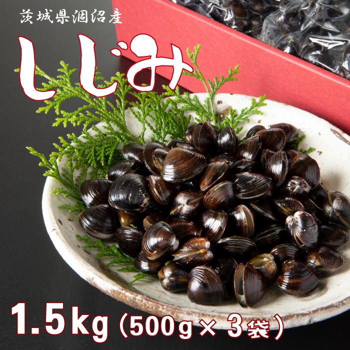冷凍しじみ 1.5kg (500g × 3袋) 茨城県 涸沼産 カジマ シジミ 大和 しじみ 蜆 小分け茨城県大洗町10000魚介・海産物貝類