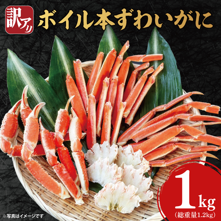 訳あり ボイル 本ずわいがに 総重量 1.2kg ( 内容量 1kg ) < 数量限定 > < 工場直送 > 規格外 折れ 足 肩 訳アリ わけあり カジマ ずわい蟹 ズワイガニ かに カニ 蟹 カニ足 カニ脚 カニ肩 カニ爪 ず