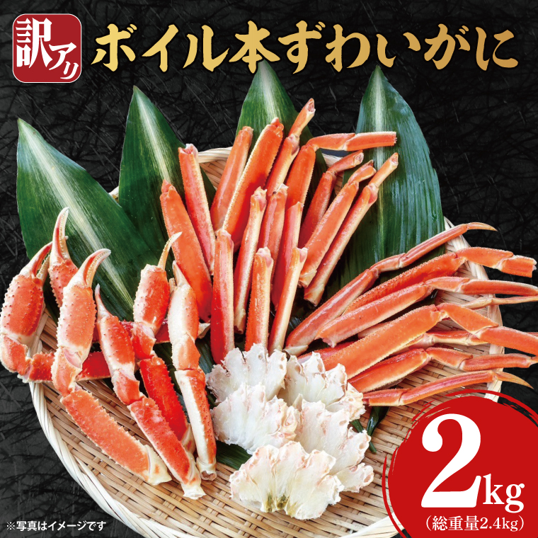 訳あり ボイル 本ずわいがに 総重量 2.4kg ( 内容量 2kg ) < 数量限定 > < 工場直送 > 規格外 折れ 足 肩 訳アリ わけあり カジマ ずわい蟹 ズワイガニ かに カニ 蟹 カニ足 カニ脚 カニ肩 カニ爪 ず