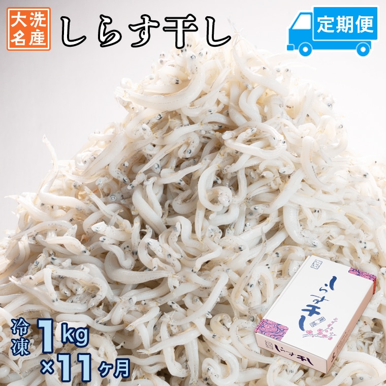 定期便 しらす干し (1kg×11か月) 天然 ふっくら 大洗 名産 しらす シラス 魚 さかな 魚介 離乳食茨城県大洗町110000魚介・海産物その他 魚介・海産物