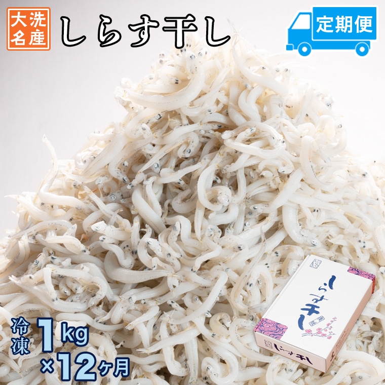 定期便 しらす干し (1kg×12か月) 天然 ふっくら 大洗 名産 しらす シラス 魚 さかな 魚介 離乳食茨城県大洗町120000魚介・海産物その他 魚介・海産物