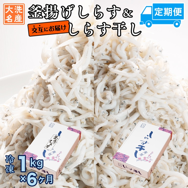 g炷 炷   (1kg×6) VR ӂ  Y 炷 VX    H錧57000ECY̑ ECY