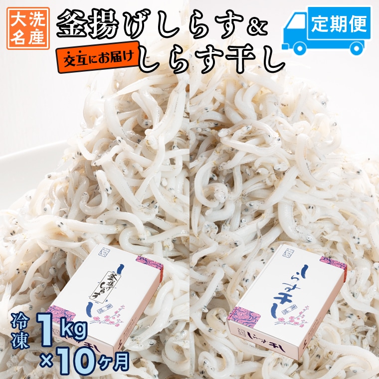 釜揚げしらす しらす干し 交互 定期便 (1kg×10か月) 天然 ふっくら 大洗 名産 しらす シラス 魚 さかな 魚介 離乳食茨城県大洗町95000魚介・海産物その他 魚介・海産物