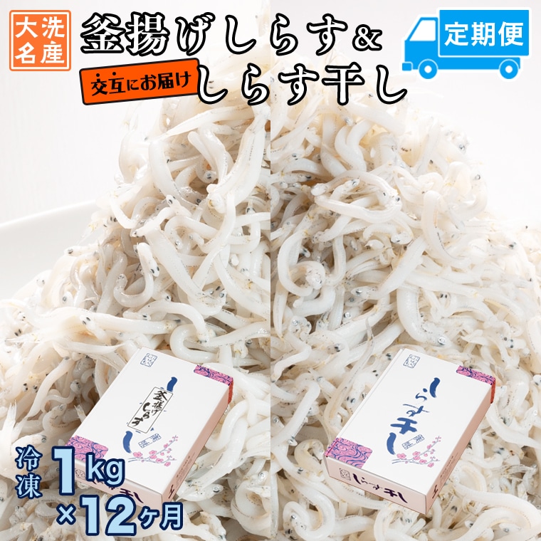 釜揚げしらす しらす干し 交互 定期便 (1kg×12か月) 天然 ふっくら 大洗 名産 しらす シラス 魚 さかな 魚介 離乳食茨城県大洗町114000魚介・海産物その他 魚介・海産物