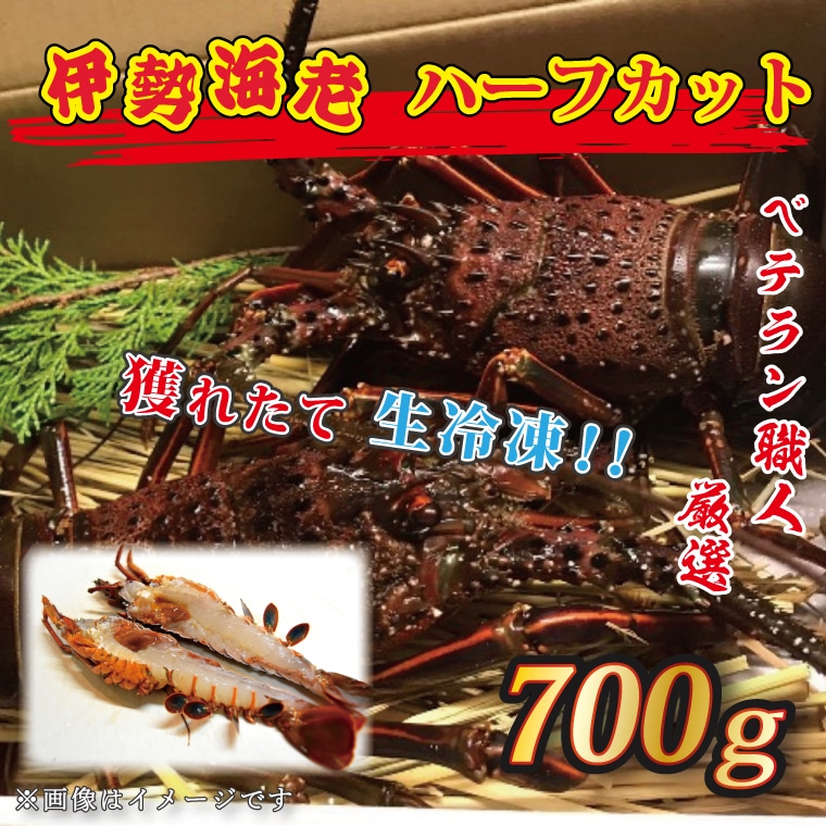 Ⓚ ɐCV n[tJbg 700g Ⓚ Y ɐGr CZGr  CV Gr   hg Ă X`錧25000ECYGr