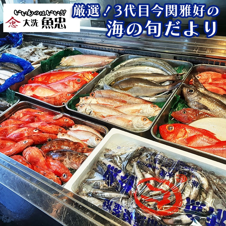 鮮魚店「魚忠」 厳選鮮魚セット 大洗 厳選 旬 魚 さかな茨城県大洗町45000魚介・海産物鮮魚