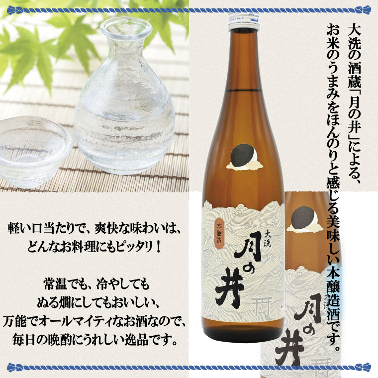 日本酒 仕込み 梅酒 500ml 本醸造 720ml 2本 セット 月の井 大洗 地酒 国産梅 茨城茨城県大洗町11000酒・アルコール梅酒・果実酒