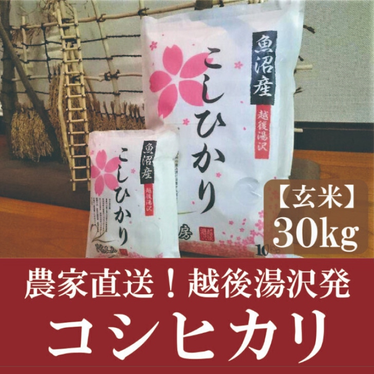 ߘa7NY 30kg _ƒIz㓒 t@[ 싛ŏ㗬yYRVqJzV72000āEpāEGāEāE