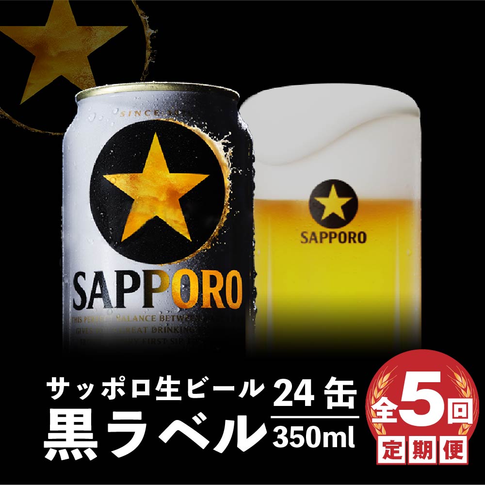 『定期便:全5回』黒ラベル350ml×24本【30001901】北海道恵庭市90000酒・アルコールビール・発泡酒