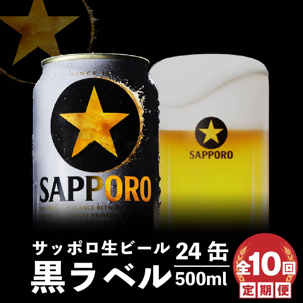 『定期便:全10回』黒ラベル500ml×24本【30002901】北海道恵庭市230000酒・アルコールビール・発泡酒